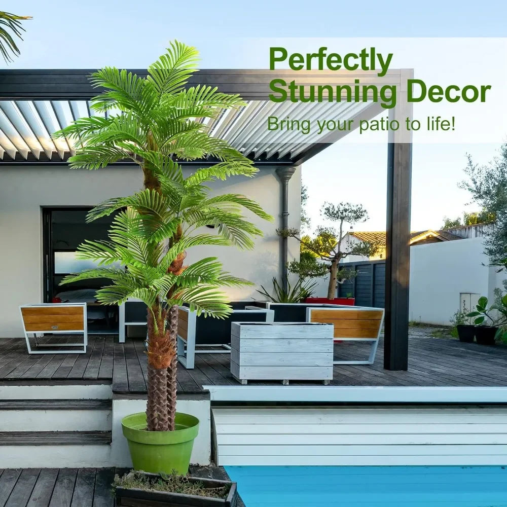 Palm Tree for Outdoors - Triple Phoenix Palm- Perfect for Patio, Poolside