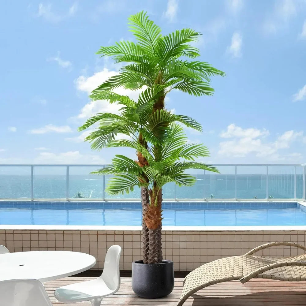 Palm Tree for Outdoors - Triple Phoenix Palm- Perfect for Patio, Poolside