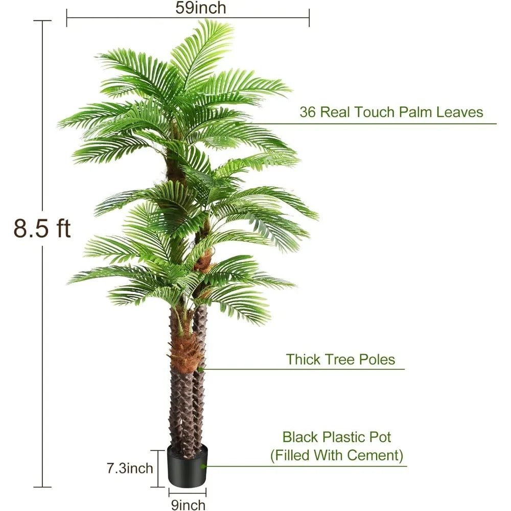 Palm Tree for Outdoors - Triple Phoenix Palm- Perfect for Patio, Poolside